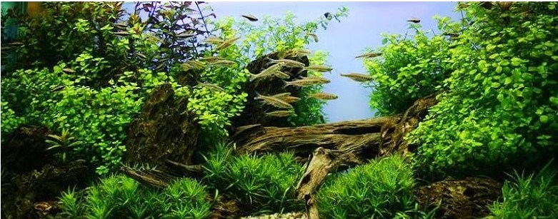 建筑学与风水学的如何沟通？